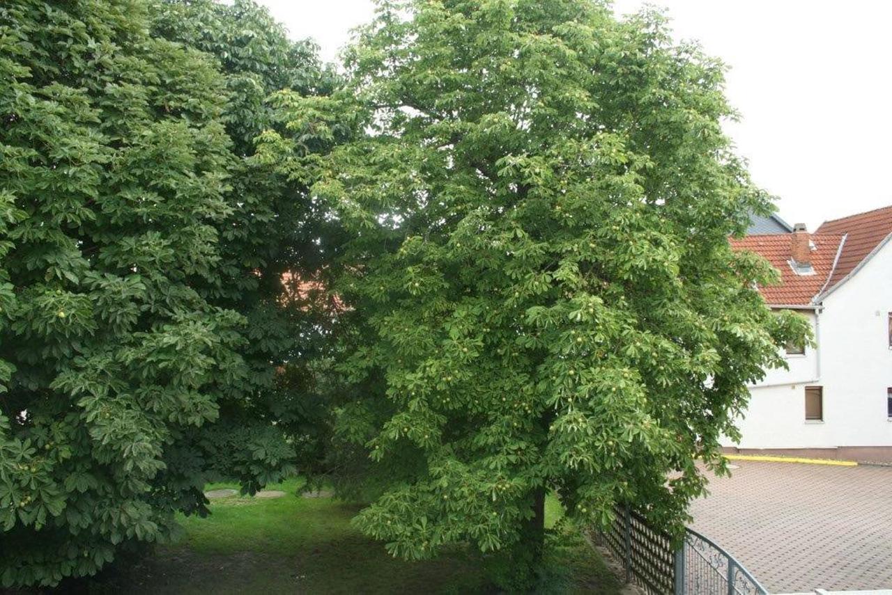 Отель Pension Zur Krone Эйзенах Экстерьер фото